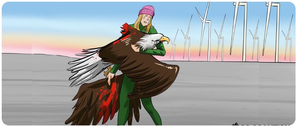 Blood on the blades: are thousands of dead bald eagles too high a price to  pay for “clean” energy - Clintel
