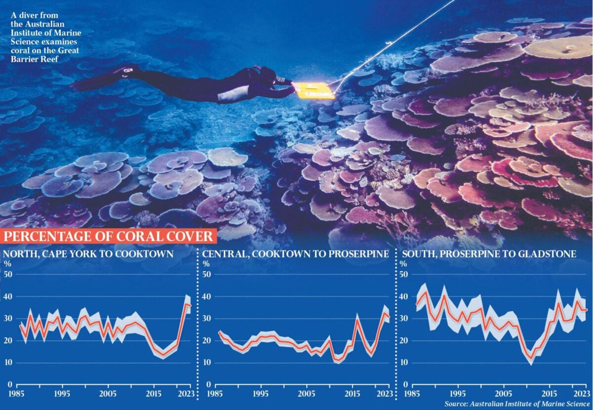 World’s largest reef secretly recovers and has record high coral cover ...