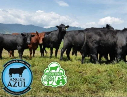 Farmers Under Fire The Flawed Science Behind Livestock Methane Claims_1